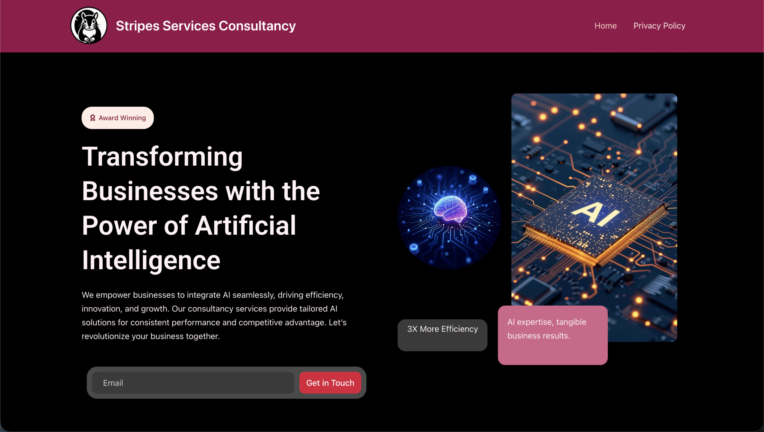 Stripes Services Consultancy Pvt Ltd Website Development by KARMA Creation