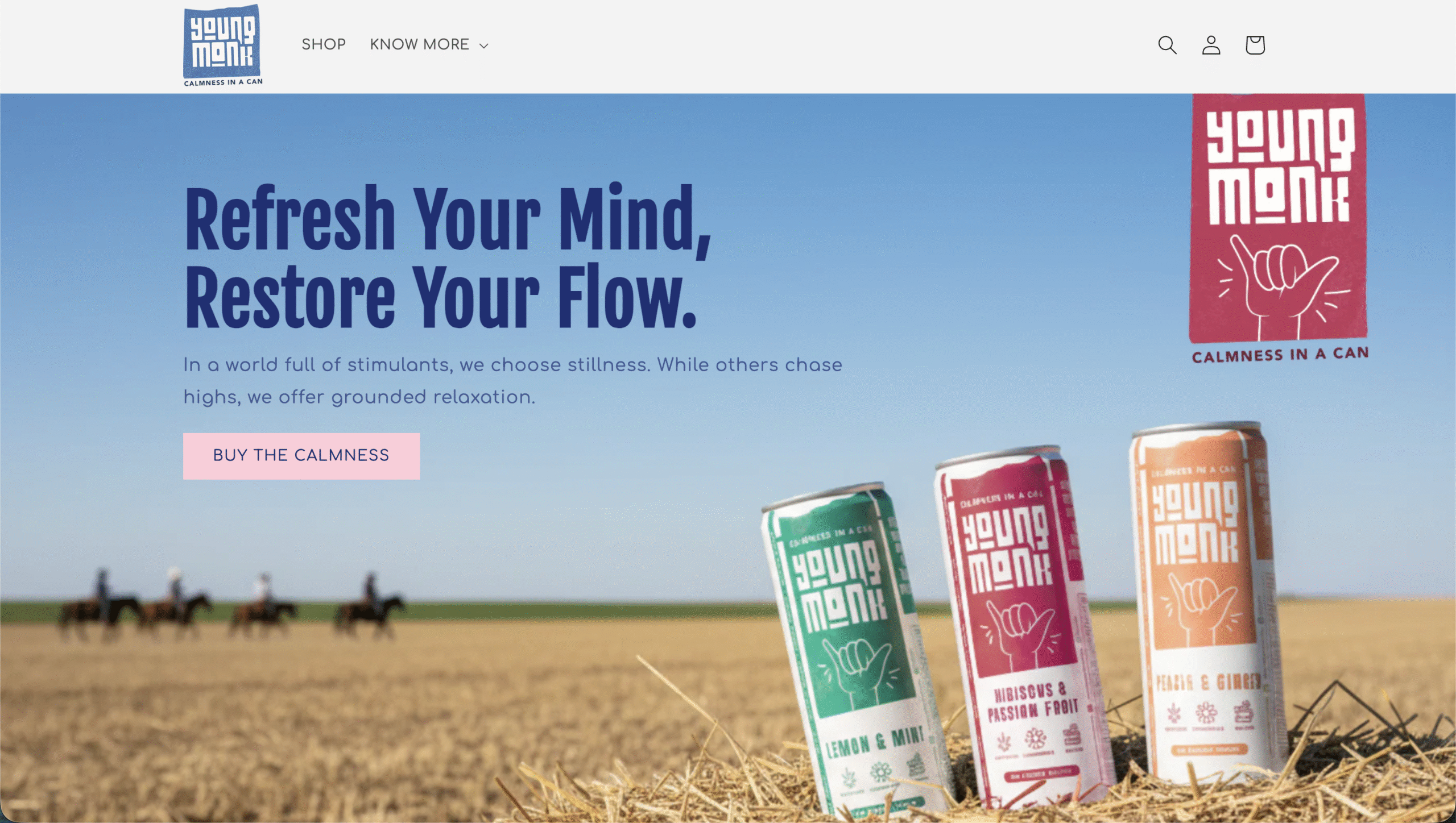 Young Monk Website Development by KARMA Creation